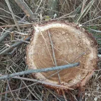 آره شارژی|ابزارآلات|خدا آفرین, |دیوار