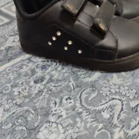 کفش|کیف، کفش، کمربند|ارومیه, |دیوار