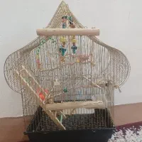 قفس پرنده