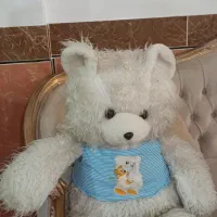 خرس شاسخین سفید