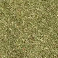 خار شتری
