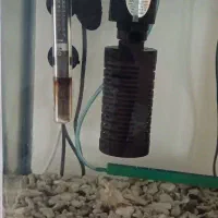 آکواریوم برند ماهیران|ماهی|تهران, نظامآباد|دیوار