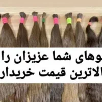 فروش مو ( خرید و خریدار ) طبیعی و رنگی
