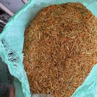 خلال پرتقال ونارنج وفندق