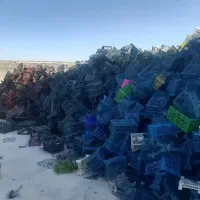 خرید انواع سبد زنده بار