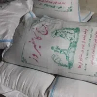 تخفیف باور نکردنی برنج چمپه کامفیروزی