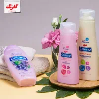 گروه صنعتی گلرنگ