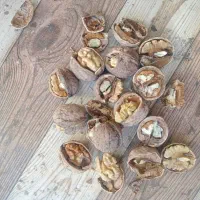 گردو کردستان همه رقمه|خوردنی و آشامیدنی|قم, ارم|دیوار