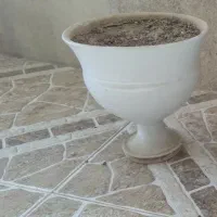 گلدون و پایه گلدون|گل و گیاه طبیعی|بندر ماهشهر, |دیوار