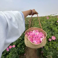 تور یکروزه گلابگیری