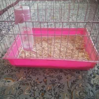 قفس مناسب پرنده و همستر