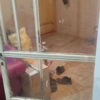خونه اجاره ای|اجارهٔ خانه و ویلا|اصفهان, امیرعرب|دیوار