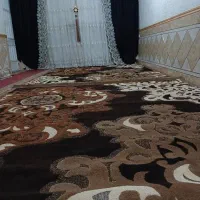 گلیم|گلیم، جاجیم، گبه|اهواز, کمپلو جنوبی|دیوار
