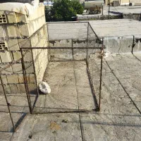 معاوضه با کبوتر رنگی|پرنده|اهواز, منبع اب|دیوار