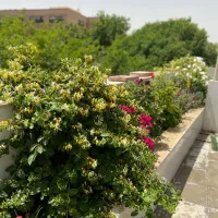 دوطبقه دربست آسانسوردار نوساز