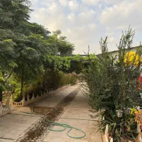 فروش تهاتر باغ سالن|فروش دفتر صنعتی، کشاورزی، تجاری|شیراز, سلطان آباد|دیوار