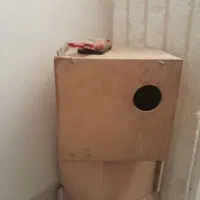 قفس و پرنده و لانه|پرنده|سمنان, |دیوار