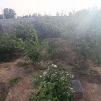 زمین باغی دارای مجوز ویلاسازی(مناسب سرمایه گذاری)|فروش زمین و ملک کلنگی|صفادشت, |دیوار