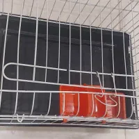 یک قفس نو مناسب خرگوش و همستر و سایر جوندگان