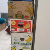 جعبه خالی موز۱۰۰ جعبه