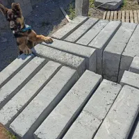 جدول و پازل پرسی