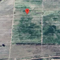 زمین کشاورزی