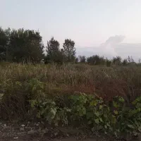 فروش۲۰۰تا۵۰۰متر زمین باغی