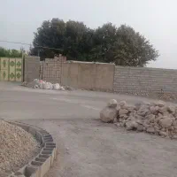 ف ر و ش بلوط تازه