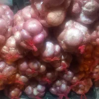 پیاز محلی سپیدان .