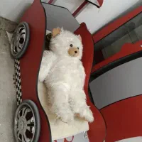 کمد و تخت بچه|تخت و صندلی بچه|قرچک, داوود آباد|دیوار