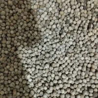 ششصد هفتصدکیلو گردو الشتر باکیفیت و چربی فی 385000