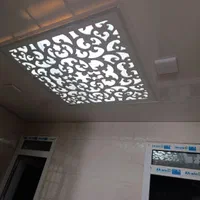 مجری سقف کاذب|خدمات پیشه و مهارت|برازجان, |دیوار