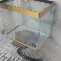 آکواریوم شیشه خم