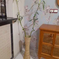 گلدان حصیری|صنایع دستی و سایر لوازم تزئینی|ری, شهادت|دیوار