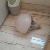 فروش لامپ|لامپ و چراغ|رشت, استقامت ۲|دیوار