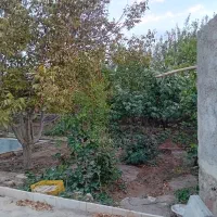 ۲۰۰۰ متر باغ در چناران|فروش خانه و ویلا|چناران, |دیوار