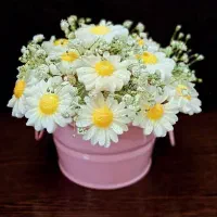 شمع های ریبا|صنایع دستی و سایر لوازم تزئینی|قم, آذر (نکویی)|دیوار