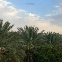 ۵هکتار باغ خرما پیارم/سنددار حاجی آباد روستای کهه|فروش دفتر صنعتی، کشاورزی، تجاری|حاجی آباد, |دیوار