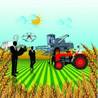 کارشناس کشاورزی باغبانی ،فضای سبز ،چمن فوتبال