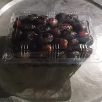 رطب گشخاب تازه