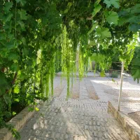 فروش مجموعه|فروش خانه و ویلا|نهاوند, |دیوار