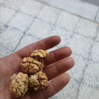 گردو وکشمش پاک شده|خوردنی و آشامیدنی|ارومیه, |دیوار