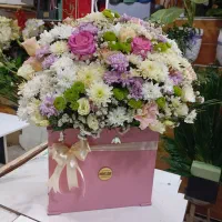 گلفروشی ویکتوریا|گل و گیاه طبیعی|کلاچای, |دیوار
