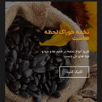 طراحی سایت حرفه ای|خدمات رایانه‌ای و موبایل|نیشابور, شهرک فرهنگیان|دیوار