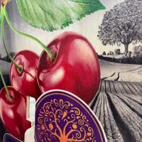 طراحی و تولید استند فروشگاهی و تبلیغاتی سفارشی