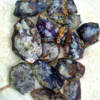 شکوفه فردوس زمینه سوسنی