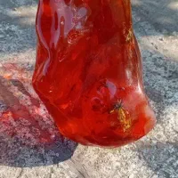کهربای طبیعی گوپال|جواهرات|نسیم‌شهر, |دیوار