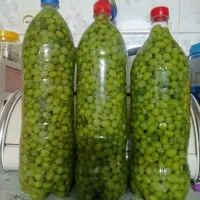 غوره پاک شده