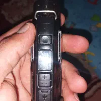پادارگس