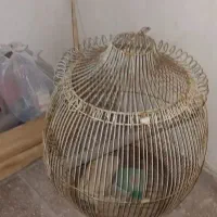 قفس پرنده با لوازم